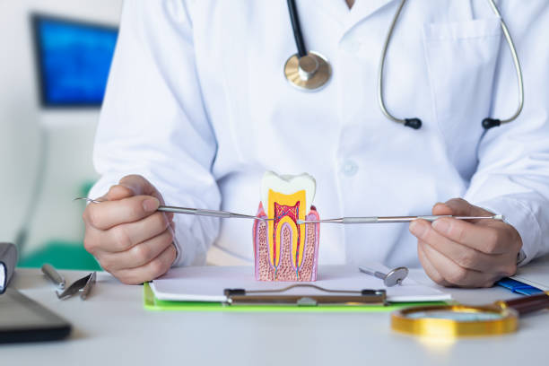 Best Emergency Orthodontic Repairs in Harvey, LA